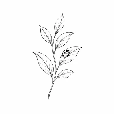 fine line ladybug tattoo design, black linework flash
