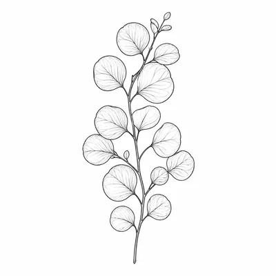fine line eucalyptus tattoo design, black linework flash