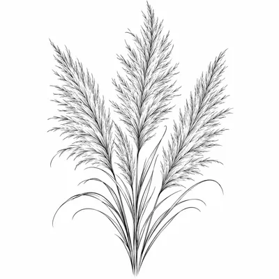 fine line pampas tattoo design, black linework flash