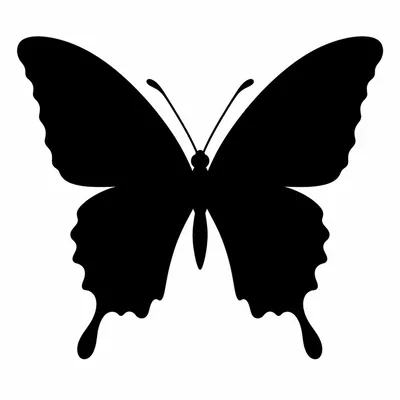 blackwork butterfly tattoo design, black linework flash