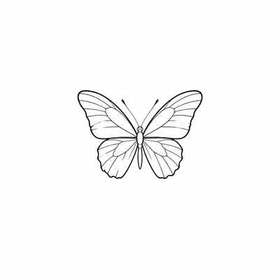minimalist butterfly tattoo design, black linework flash