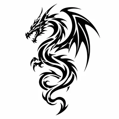 tribal dragon tattoo design, black linework flash