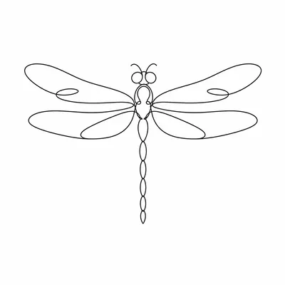 minimalist dragonfly tattoo design, black linework flash