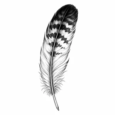 fine line eagle tattoo design, black linework flash
