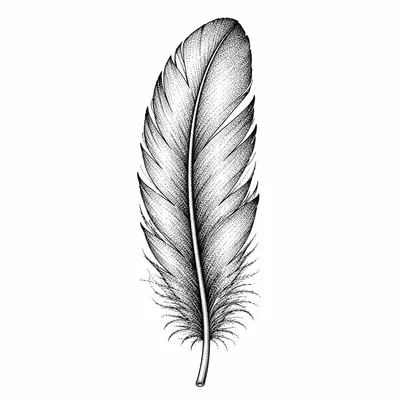 dotwork feather tattoo design, black linework flash