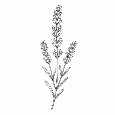 minimalist flower tattoo design, black linework flash