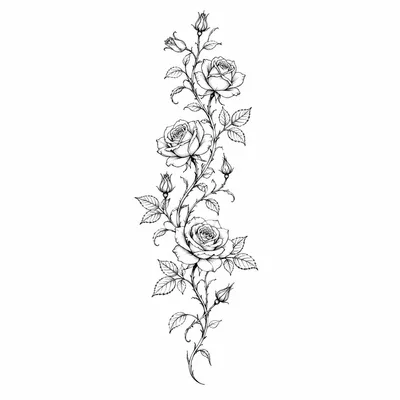 fine line rose tattoo design for the forearm, black linework flash