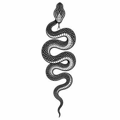 blackwork snake tattoo design for the forearm, black linework flash