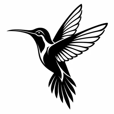blackwork hummingbird tattoo design, black linework flash
