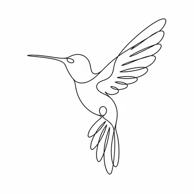 minimalist hummingbird tattoo design, black linework flash
