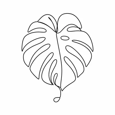 minimalist monstera tattoo design, black linework flash