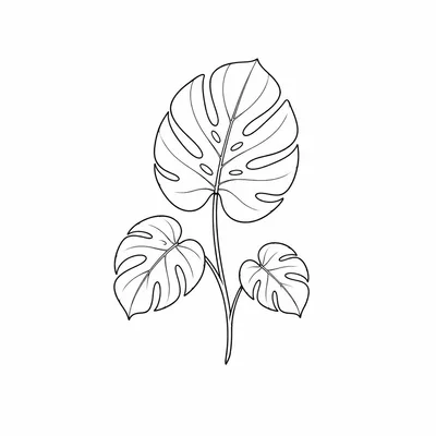 minimalist monstera tattoo design, black linework flash