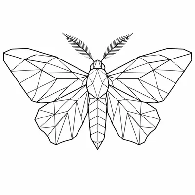 geometric moth tattoo design, black linework flash