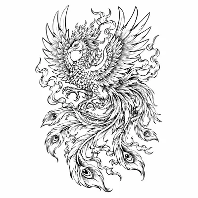 japanese phoenix tattoo design, black linework flash