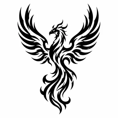 tribal phoenix tattoo design, black linework flash