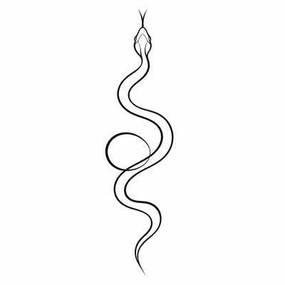 minimalist snake tattoo design, black linework flash
