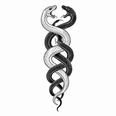 fine line snake tattoo design, black linework flash