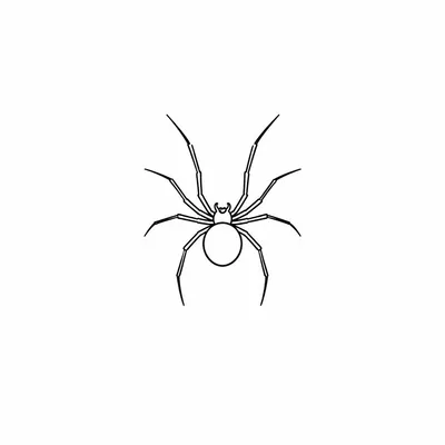 minimalist spider tattoo design, black linework flash