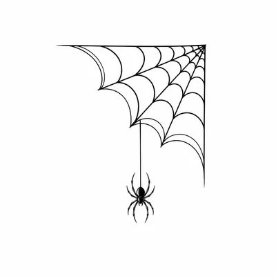 blackwork spider tattoo design, black linework flash