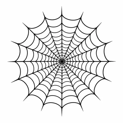 traditional spider web tattoo design, black linework flash