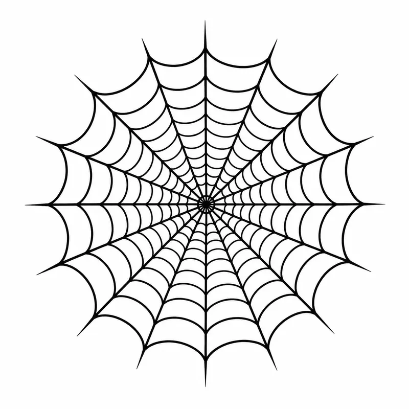 Spider Web Tattoos