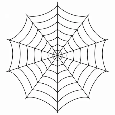 geometric spider web tattoo design, black linework flash