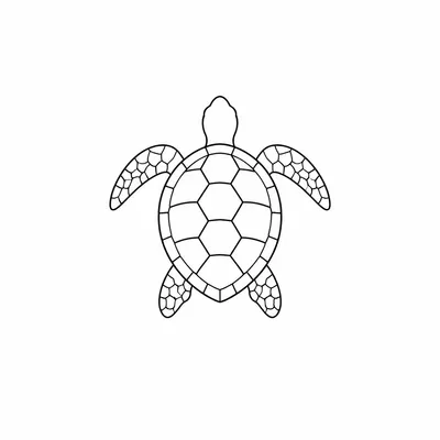 minimalist turtle tattoo design, black linework flash