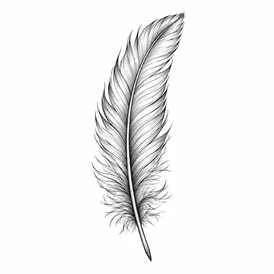 fine line feather tattoo design, black linework flash