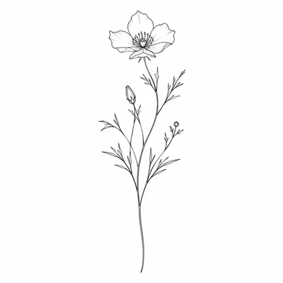 fine line wildflower tattoo design, black linework flash