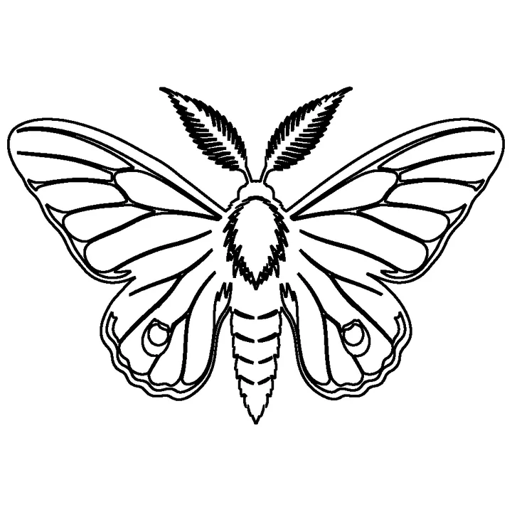 Stencil (default settings): a moth with solid black wings