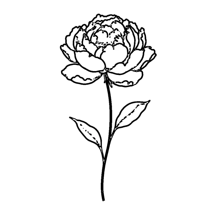 Stencil (default settings): a single peony flower on a long thin stem with two leaves
